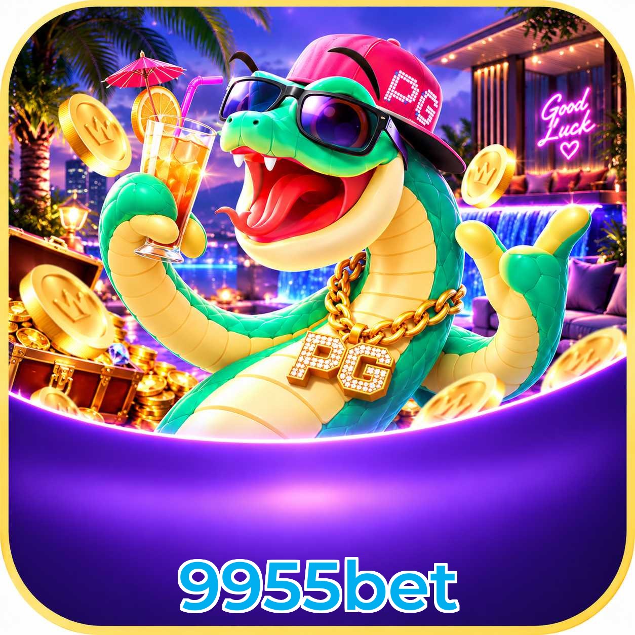 9955bet Performance