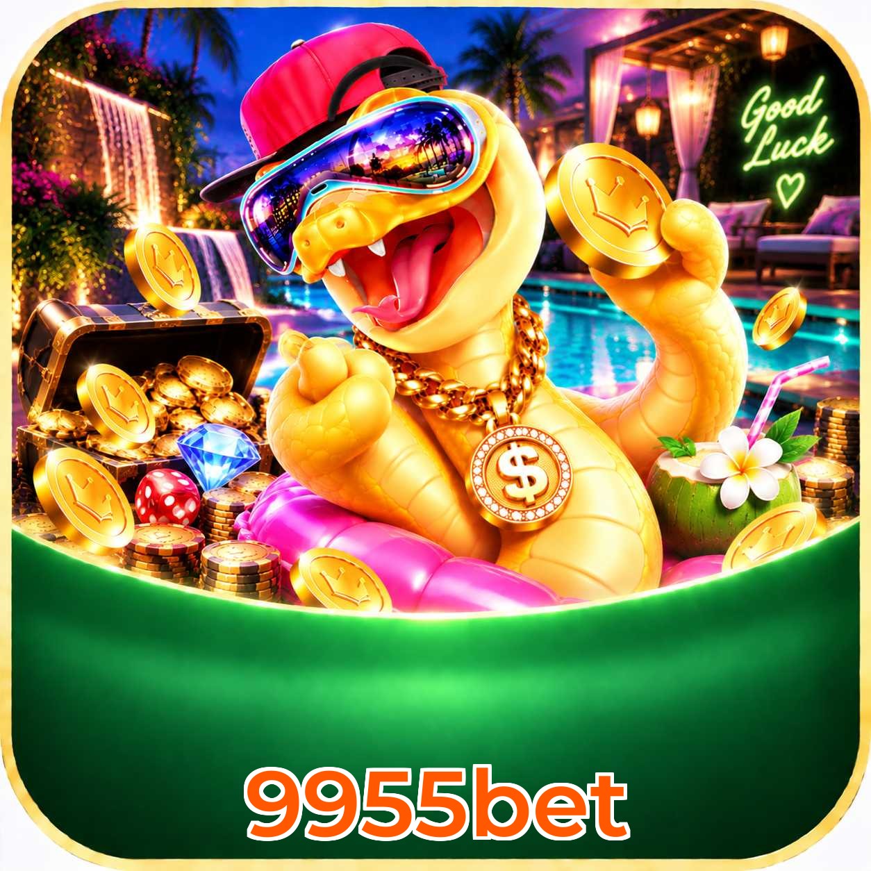 9955bet Compatibilidade